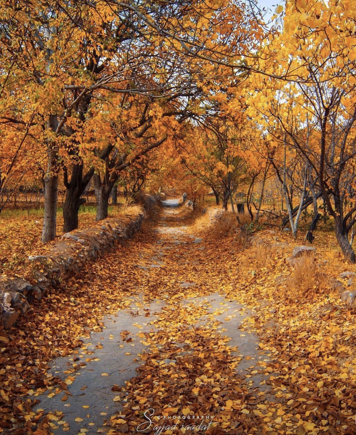 عدسة ايرانية: الخريف في خوانسار قرب أصفهان 3