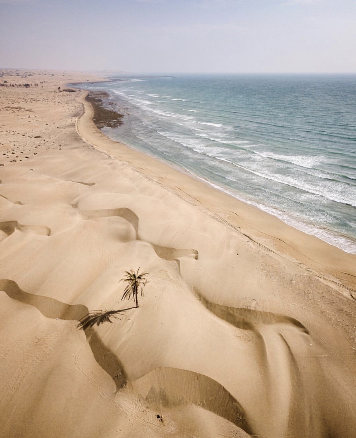عدسة إيرانية: التقاء الصحراء بالبحر في سيستان بالوشستان 3