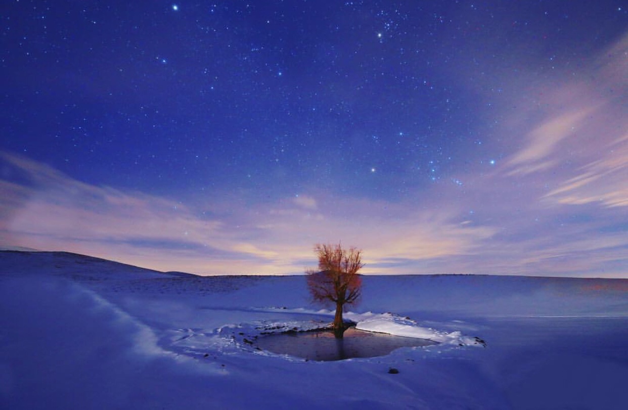 عدسة إيرانية: شجرة وسط بحر من الثلج في همدان 3